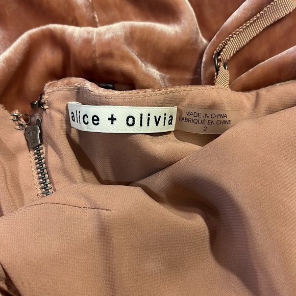 Alice + Olivia The Alexis Velvet Mini Dress in Rust, size 2 - Picture 7 of 11